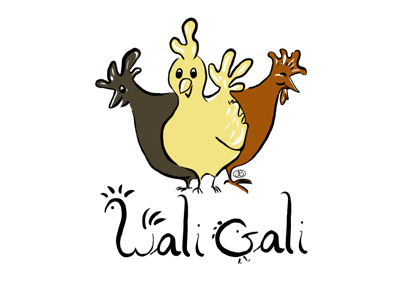 Waligali